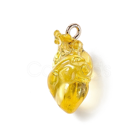 Transparent Resin Pendants RESI-E028-01G-07-1