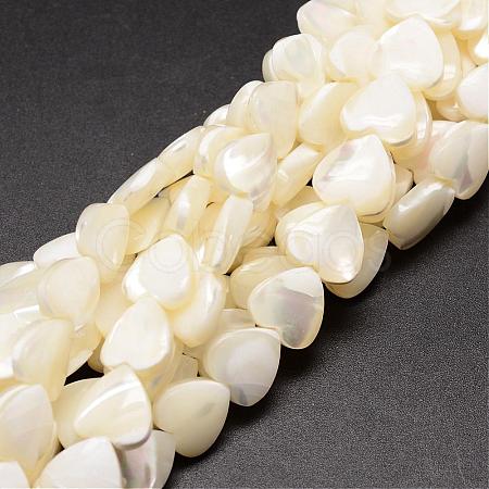 Natural Trochid Shell/Trochus Shell Beads Strands SSHEL-K012-05-1