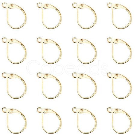 Brass Leverback Earring Findings KK-PH0026-22G-RS-1