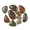 Natural Polychrome Jasper/Picasso Stone/Picasso Jasper Cabochons, Mixed Shapes, 29.5~57x19.5~34.5x3~8.5mm