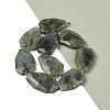 Natural Labradorite Beads Strands G-P548-B14-01-2