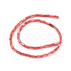 Natural Freshwater Shell Dyed Beads Strands SHEL-M018-11-07-2