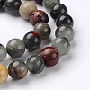 Natural African Bloodstone Beads Strands X-G-L383-06-8mm-3