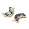 Natural Paua Shell Pendants SHEL-P017-24G-2