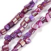 Dyed Natural Freshwater Shell Beads Strands SHEL-P016-01D-1