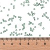 TOHO Round Seed Beads SEED-JPTR11-2202-4