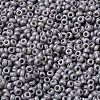 Baking Paint Glass Seed Beads SEED-P006-03A-27-3