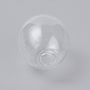 Round Mechanized Blown Glass Globe Ball Bottles GLAA-TAC0003-08-2