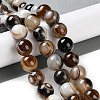 Natural Eye Agate Beads Strands G-NH0019-F02-01-2