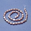 Natural Cultured Freshwater Pearl Beads Strands PEAR-P060-23A-2