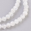 Natural Moonstone Beads Strands G-F568-091-3