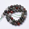 Natural African Bloodstone Beads Strands X-G-S281-21-8mm-2
