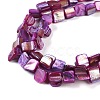 Dyed Natural Freshwater Shell Beads Strands SHEL-P016-01D-3