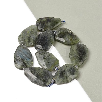 Natural Labradorite Beads Strands G-P548-B14-01-1