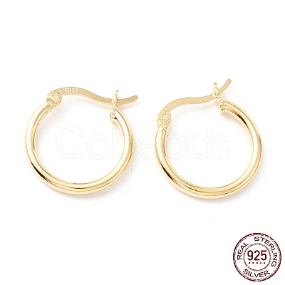 925 Sterling Silver Hoop Earrings STER-P047-13B-G-1