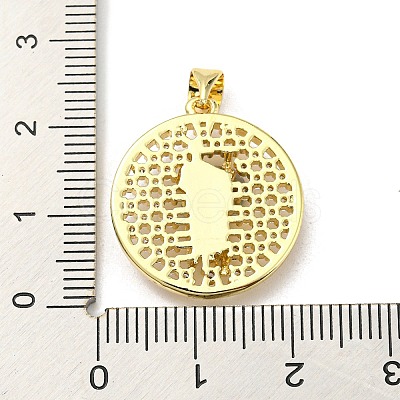 Brass with Cubic Zirconia Pendant FIND-Z023-09B-02-1