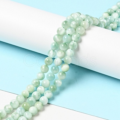 Natural Glass Beads Strands G-I247-32A-1