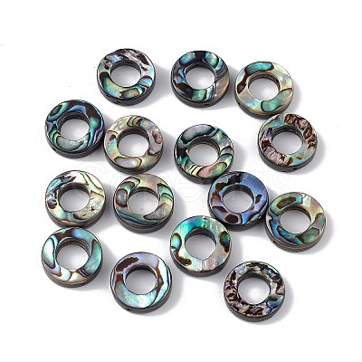 Natural Abalone Shell/Paua Shell Beads SSHEL-M021-03-1