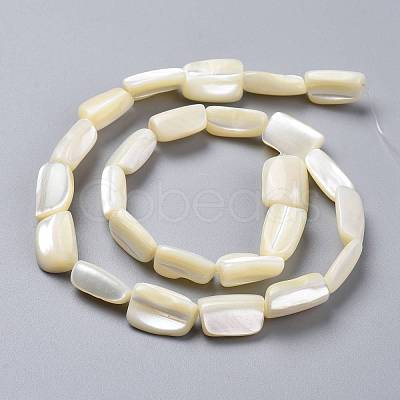 Natural Shell Beads Strands SSHEL-K026-01-1