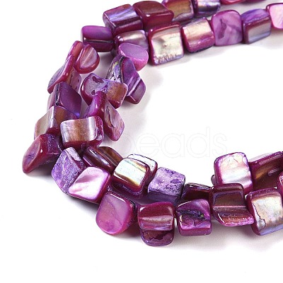 Dyed Natural Freshwater Shell Beads Strands SHEL-P016-01D-1