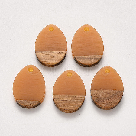 Transparent Resin & Walnut Wood Pendants RESI-S358-15-B02-1