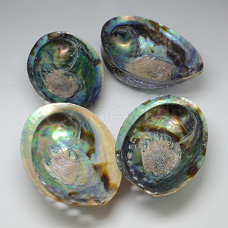 Natural Abalone/Paua Shell Decoration, Shell, Colorful, 120~140x90 ...